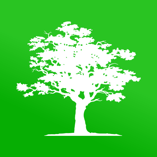 Invercap Invercap Afore